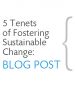 5 Tenets of Fostering Sustainable Change